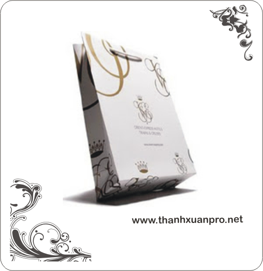 Túi giấy shop